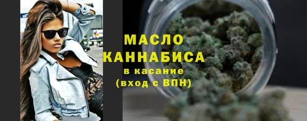 стафф Верхний Тагил