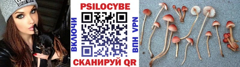 Галлюциногенные грибы GOLDEN TEACHER наркотики Пересвет